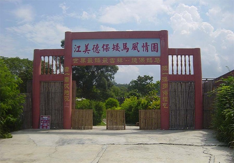 江美德保矮马风情园
